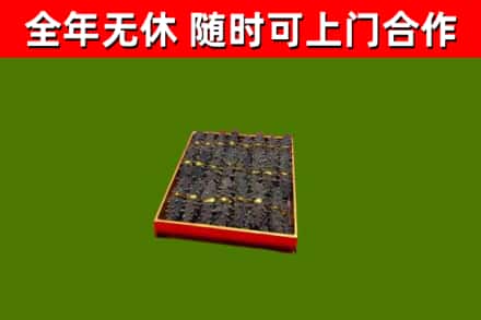 龙岗回收海参
